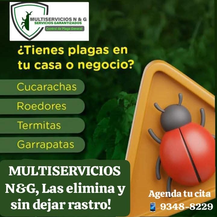 Patrocinador 2